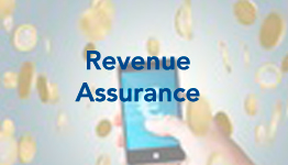 revenue-assurance-slide